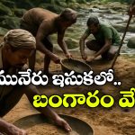 ఇసుకను జల్లెడ పడితే బంగారం దొరుకుతుందట.. మునేరులో వింత వేట!