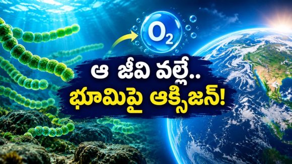 ఒకప్పుడు భూమిపై అసలు ఆక్సిజనే ఉండేది కాదట, దీని పుట్టక భలే విచిత్రం
