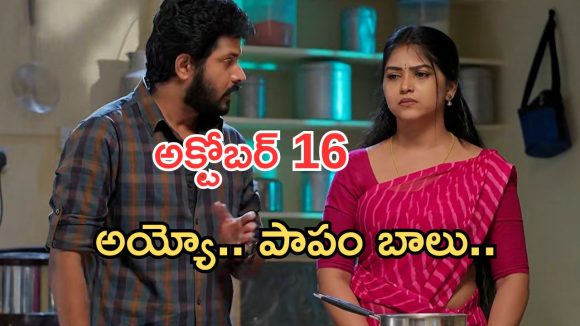 Gundeninda GudiGantalu Today episode: బాలు కోసం మీనా టెన్షన్.. రోహిణి కోపం కొల్లేరు.. గుణకు సాయం..