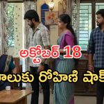 Gundeninda GudiGantalu Today episode: రోహిణికి కొత్త టెన్షన్.. చింటును బాలు తెస్తాడా..? గుణ ప్లానేంటి..?