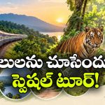 పులులను దగ్గరగా చూడాలనుందా? అయితే, ఐఆర్‌సిటిసి ‘వన్ దర్శన్’ యాత్రకు రెడీ అవ్వండి!