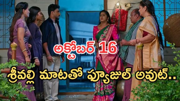 Illu Illalu Pillalu Today Episodes: వల్లికి స్ట్రాంగ్ వార్నింగ్.. బాధపడ్డ రామరాజు.. భద్రకు ధీరజ్ వార్నింగ్..