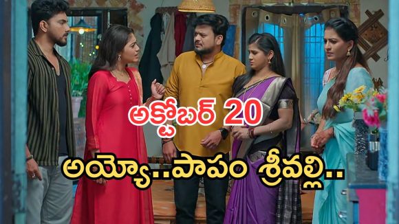 Illu Illalu Pillalu Today Episodes: వల్లికి దిమ్మతిరిగే షాక్.. ఇంట్లోంచి గేంటేసిన భాగ్యం.. చందు మాటతో షాక్..