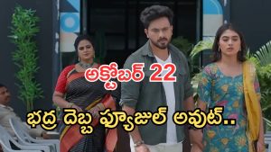 Illu Illalu Pillalu Today Episodes: వల్లి పై చందు సీరియస్.. చివర్లో భద్ర ట్విస్ట్.. మైండ్ బ్లాక్ అయ్యే సీన్..