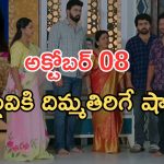 Intinti Ramayanam Today Episode: అయ్యో పార్వతి.. కమల్ పై రివేంజ్.. పల్లవికి వాతలు..