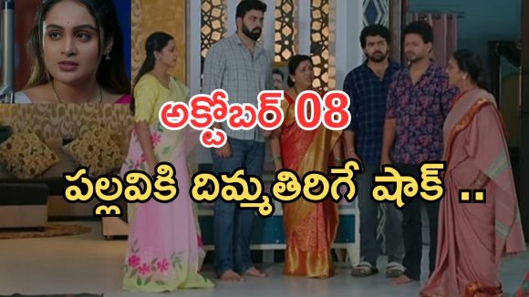 Intinti Ramayanam Today Episode: అయ్యో పార్వతి.. కమల్ పై రివేంజ్.. పల్లవికి వాతలు..