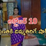 Intinti Ramayanam Today Episode: అవని పై భానుమతి సీరియస్.. అవనికి సీరియస్.. ప్రణతి కాపురంలో చిచ్చు..