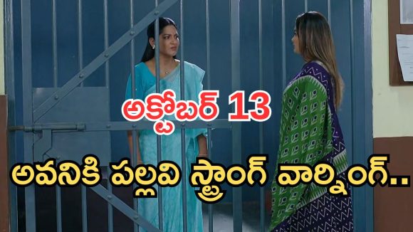 Intinti Ramayanam Today Episode: పల్లవి ప్లాన్ సక్సెస్.. కమల్, అవని అరెస్ట్.. పల్లవికి స్ట్రాంగ్ వార్నింగ్..