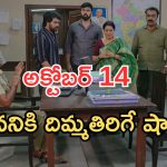 Intinti Ramayanam Today Episode: అవని కోసం మీనాక్షి.. పోలీస్ దెబ్బకు షాక్.. అవని జైలుకేనా..?