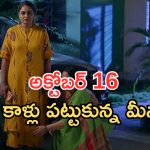 Intinti Ramayanam Today Episode: వదిన కోసం కమల్ కన్నీళ్లు.. భానుమతికి వార్నింగ్.. అవనికి షాక్..