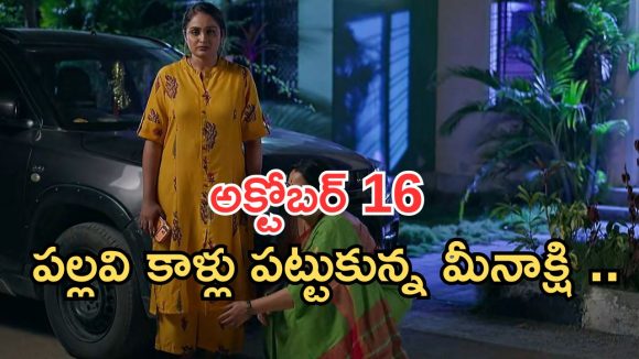 Intinti Ramayanam Today Episode: వదిన కోసం కమల్ కన్నీళ్లు.. భానుమతికి వార్నింగ్.. అవనికి షాక్..