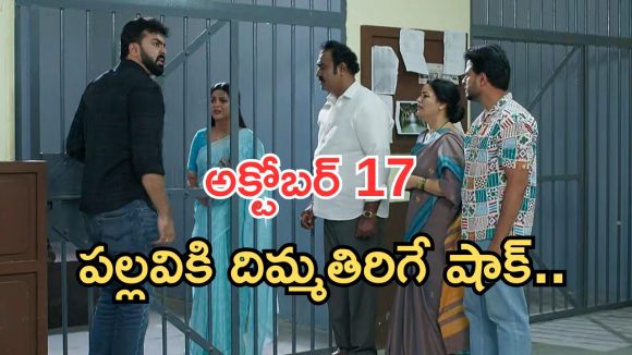 Intinti Ramayanam Today Episode: అవనిని కొట్టించిన పల్లవి.. రెచ్చిపోయిన అక్షయ్.. పల్లవికి దిమ్మతిరిగే షాక్..