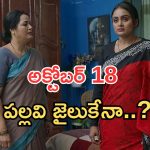 Intinti Ramayanam Today Episode: అక్షయ్ మాటతో మీనాక్షి షాక్.. పల్లవికి మైండ్ బ్లాక్.. అరెస్ట్ చేస్తారా..?