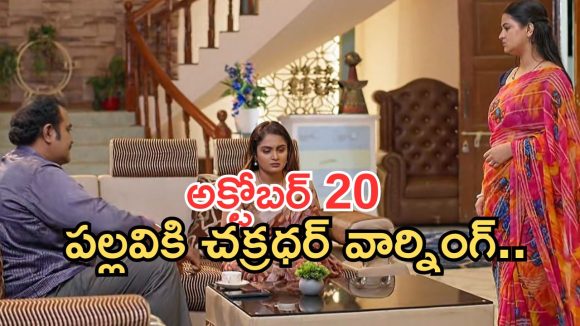Intinti Ramayanam Today Episode: చక్రధర్ టెన్షన్.. కమల్ ఫుల్ హ్యాపీ.. పల్లవికి చక్రధర్ వార్నింగ్..