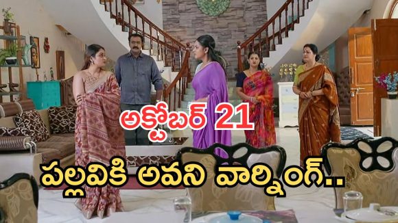 Intinti Ramayanam Today Episode: అయ్యో.. రౌడీలతో రచ్చ.. ఆరాధ్య కిడ్నాప్.. పల్లవి ప్లాన్ ఇదా..