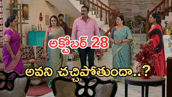 Intinti Ramayanam Today Episode: పల్లవికి అవని స్ట్రాంగ్ వార్నింగ్.. కమల్ ప్రేమలో పడతాడా..? పార్వతికి టెన్షన్..