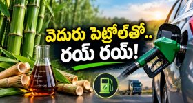 విశ్వనగరం అసలు రూపం ముందుంచుతాం..! మా పార్టీ నినాదం ప్రశ్నిస్తాం.. పోరాడుతాం.. పరిష్కరిస్తాం..!