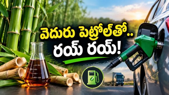 వెదురుతో పెట్రోల్.. 10 నిమిషాల్లోనే తయారీ, లీటర్ ధర ఎంతో తెలుసా?