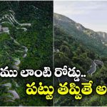 ఒకటి కాదు రెండు కాదు.. ఏకంగా 70 మలుపులు.. ఈ రోడ్డు మీద డ్రైవింగ్ అంటే మామూలు విషయం కాదు!