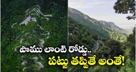 ఒకటి కాదు రెండు కాదు.. ఏకంగా 70 మలుపులు.. ఈ రోడ్డు మీద డ్రైవింగ్ అంటే మామూలు విషయం కాదు!