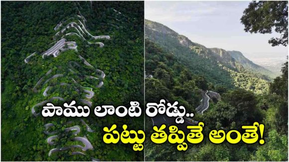 ఒకటి కాదు రెండు కాదు.. ఏకంగా 70 మలుపులు.. ఈ రోడ్డు మీద డ్రైవింగ్ అంటే మామూలు విషయం కాదు!