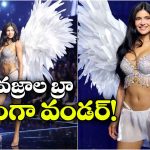 బాబోయ్.. బ్రా ధర రూ. 474 కోట్లా? ఇంతకీ అంత ఖరీదు ఎందుకు బ్రో?