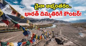 సీఎం చంద్రబాబుతో తమిళనాడు సీఎం విజయ్ భేటీ.. ఈ అంశాలపై కీలక చర్చ!