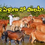 తెలంగాణ పశుపోషకులకు బిగ్ షాక్.. 12 ఏళ్లయినా తప్పని తిప్పలు!