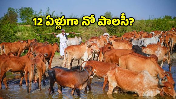 తెలంగాణ పశుపోషకులకు బిగ్ షాక్.. 12 ఏళ్లయినా తప్పని తిప్పలు!
