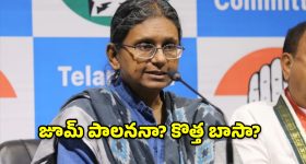 లండన్‌కు మీనాక్షి నటరాజన్.. తెలంగాణ కాంగ్రెస్‌ కొత్త ఇంచార్జ్ ఎవరు?
