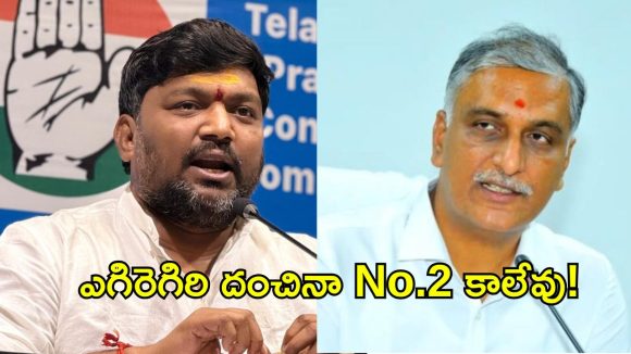 మామను మించిన అల్లుడు.. అబద్ధాల్లో హరీష్‌దే నంబర్ 1: మెట్టుసాయి కుమార్