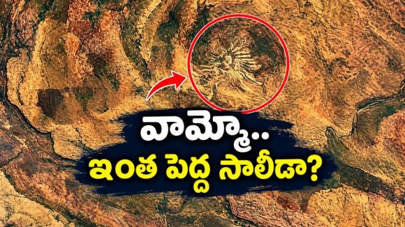 ఆస్ట్రేలియాలో రాక్షస సాలీడు.. శాటిలైట్ ఫోటోతో అసలు సంగతి చెప్పేసి నాసా