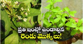 8. జెప్టో డెలివరీ కార్మికుడిపై దాడి.. చర్యలకు TGPWU డిమాండ్