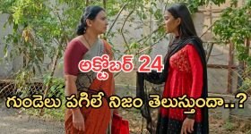Podarillu Maha:  మహాకు బంఫర్ ఆఫర్.. ఇది అస్సలు ఊహించిఉండరు..