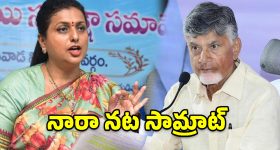 సోలార్ ప్యానెళ్లతో భవిష్యత్తులో ముప్పు తప్పదా?  25 ఏళ్ల తర్వాత ఏం జరగబోతుందంటే?