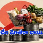 సంచి నిండదు.. జేబులు ఖాళీ.. సామాన్యుడిని ఉక్కిరిబిక్కిరి చేస్తున్న ద్రవ్యోల్బణం!
