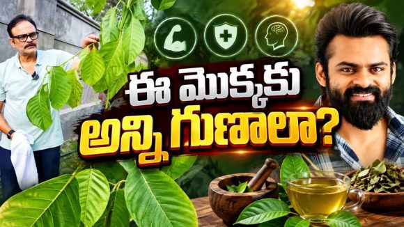 సాయి దుర్గ తేజ్ బర్తడే స్పెషల్.. అమ్మవారి మొక్క నాటిన నాగబాబు!