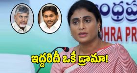 నాడు జగన్, నేడు చంద్రబాబు.. బీసీల విషయంలో ఇద్దరూ వెన్నుపోటు దారులే: వైఎస్ షర్మిల!