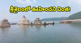 ఘుమఘుమలాడే రెస్టారెంట్ స్టైల్ మటన్ పెప్పర్ మసాలా.. ఇలా చేస్తే లొట్టలేసుకుంటూ తింటారు!