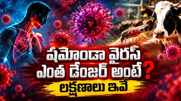 ఇదేంట్రా బాబు.. పశువులకు సోకే ఈ వైరస్ ఇప్పుడు మనుషులకు వస్తోందా?