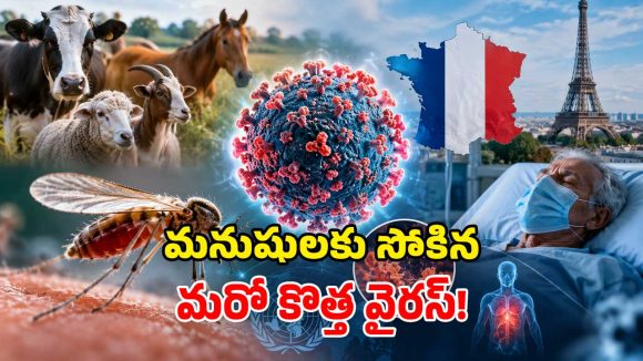మనుషులను వణికిస్తున్న ‘షమోండా వైరస్’.. తొలి మరణం నమోదు, అసలేంటీ వింత వ్యాధి?