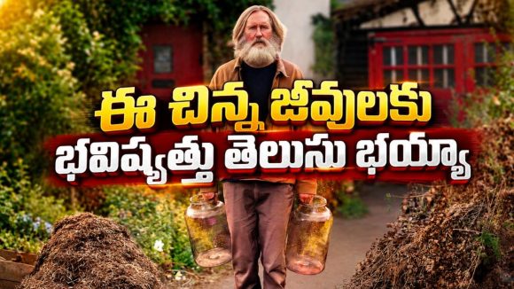 ఏడేళ్లుగా కనిపించని ప్రేయసి… ఆమె ఆచూకీ చెప్పే మాంత్రిక జీవులతో ప్రయోగం… ఓటీటీలోకి వచ్చిన వింత సిరీస్