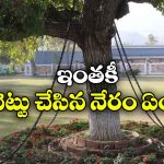 చెట్టుకు సంకెళ్లు వేసి అరెస్ట్ చేశారు.. 128 ఏళ్లుగా విడుదల కాలేదు!