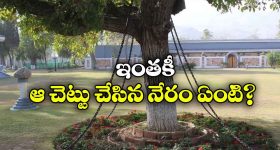 జగన్ రాజకీయ భవిష్యత్తు కటకటాలే.. వివేకా హత్య కేసుపై మంత్రి మండిపల్లి ధ్వజం
