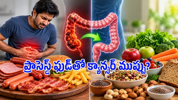 జంక్ ఫుడ్ తింటే క్యాన్సర్ రాదా? 4.6 లక్షల మందిపై జరిగిన అధ్యయనంలో షాకింగ్ విషయాలు!