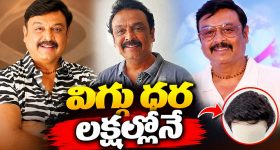 వీకే నరేష్ విగ్గు ధర ఎంతో తెలుసా?  ఒక ఫ్యామిలీ లగ్జరీగా బ్రతకొచ్చుగా?