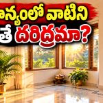 ఇంట్లో ఈ దిశను ఖాళీగా ఉంచితేనే లక్ష్మీదేవి కొలువుంటుందా? వాస్తు ఏం చెబుతోంది?