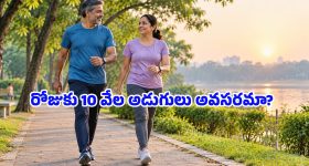 బీసీల రిజర్వేషన్ల అంశం.. ఏపీ ప్రభుత్వం రియాక్ట్, పార్టీ పరంగా ఇస్తామన్న మంత్రి పార్థసారధి