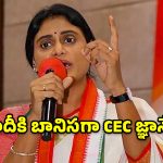 జ్ఞానేష్ కుమార్ మోదీకి బానిస!.. అఖిలపక్ష భేటీలో ఫైర్ అయిన వైఎస్ షర్మిల