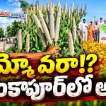 వరి లేకుండానే సిరుల సాగు! అది ఆదర్శ వ్యవసాయ గ్రామం! సంప్రదాయ పంటలుండవు.. అంతా లాభదాయక సాగే..!